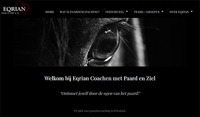 Eqrian paardencoaching friesland heerenveen